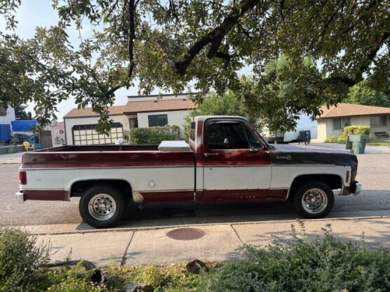 1978 Chevrolet C10 Pickup