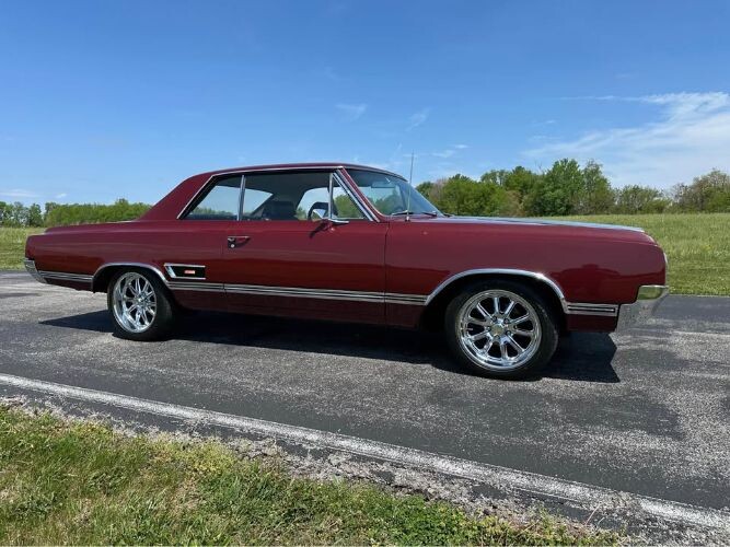 image description