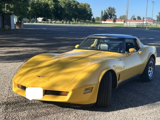 1981 Chevrolet Corvette