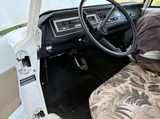 1971 Dodge D100
