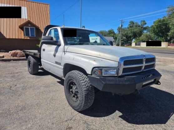 1995 Dodge Other