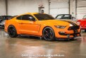 2020 Shelby Other