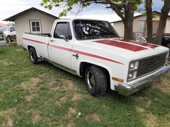 1981 Chevrolet Pickup