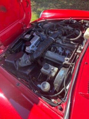 1986 Alfa Romeo Spider