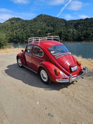 1967 Volkswagen Beetle