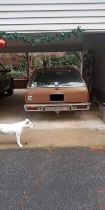 1979 Chevrolet Malibu