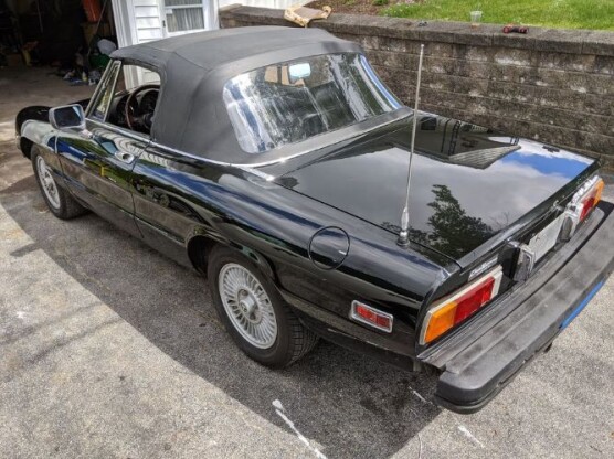 1981 Alfa Romeo Spider