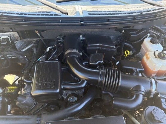 2010 Ford F-150