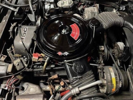 1981 Chevrolet Corvette