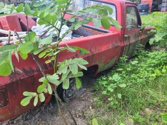 1978 Chevrolet C10 Pickup