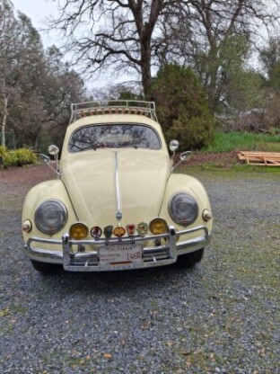 1955 Volkswagen Beetle