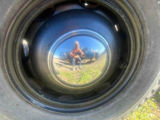 1949 Chevrolet Pickup