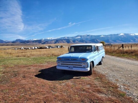 1966 Chevrolet Pickup