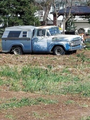 1959 Ford F-100