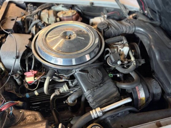 1981 Chevrolet Corvette
