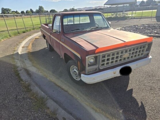 1980 Chevrolet Pickup