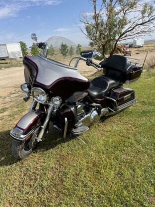 2007 Harley Davidson U