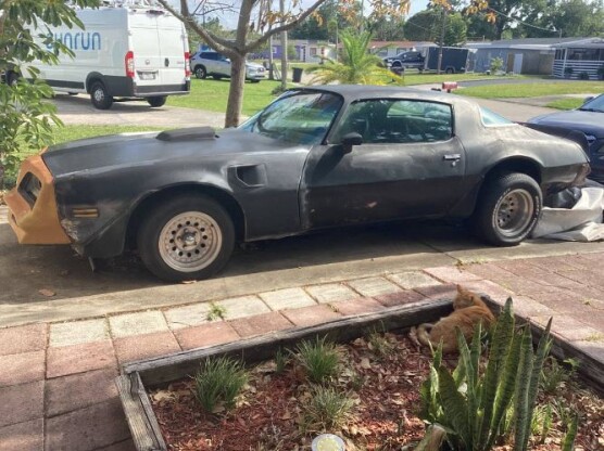 1977 Pontiac Firebird