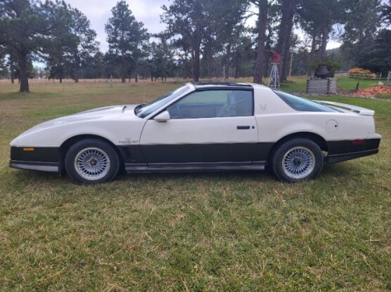 1983 Pontiac Firebird