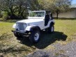 1983 Jeep CJ5