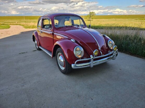 1961 Volkswagen Beetle