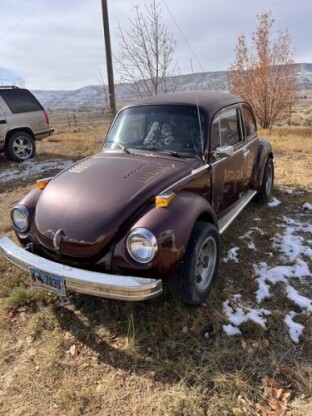 1974 Volkswagen Beetle