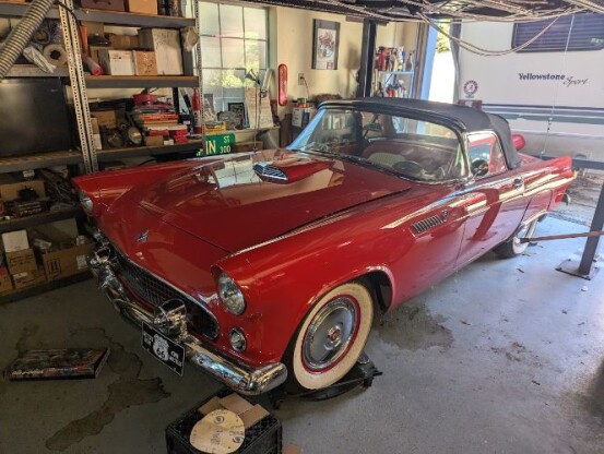 1955 Ford Thunderbird