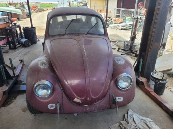 1969 Volkswagen Beetle