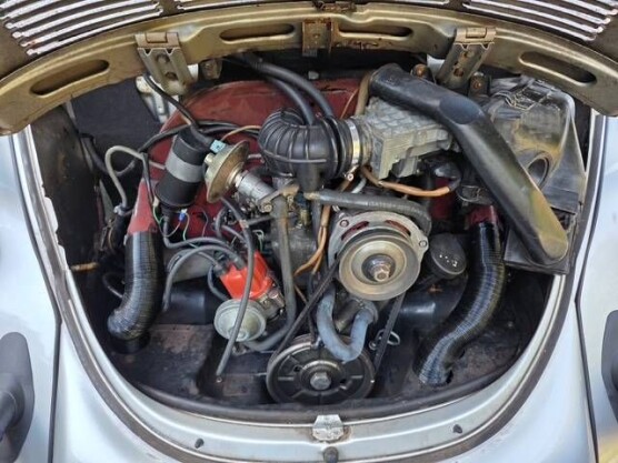 1979 Volkswagen Super Beetle