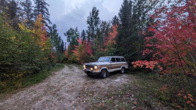 1986 Jeep Grand Wagoneer