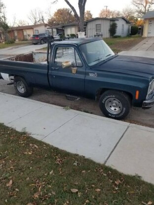 1979 Chevrolet Custom