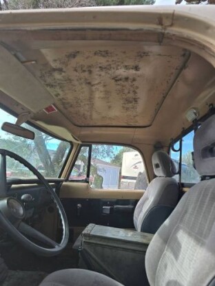 1968 Dodge D100
