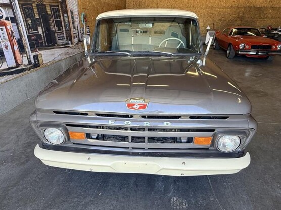 1965 Ford F-100