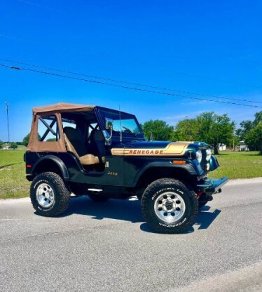 1976 Jeep Other