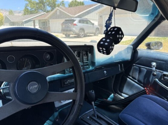 1980 Chevrolet Camaro