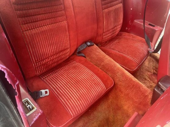 1981 Pontiac Firebird
