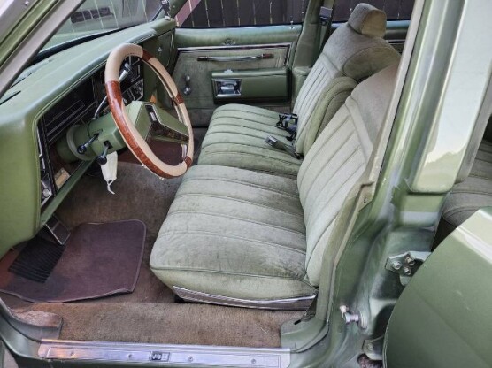 1979 Oldsmobile Delta 88