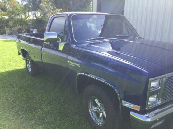 1982 Chevrolet Silverado 1500