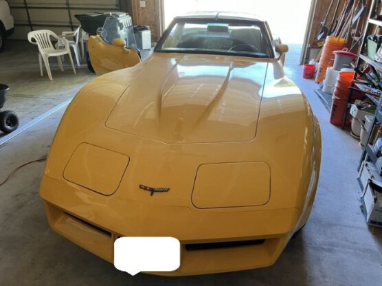 1981 Chevrolet Corvette