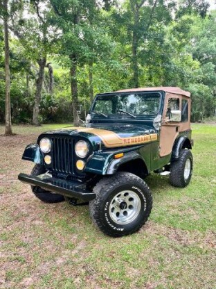 1976 Jeep Other