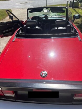 1986 Alfa Romeo Spider