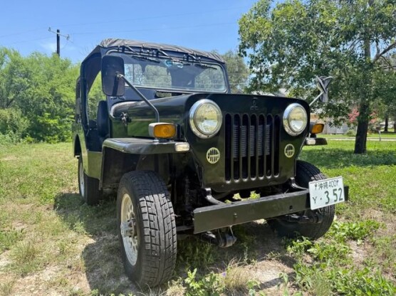 1995 Jeep Other