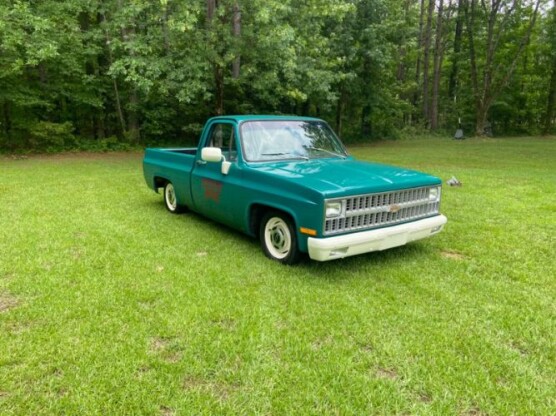 1981 Chevrolet C10 Pickup