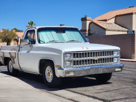 1981 Chevrolet C10 Pickup