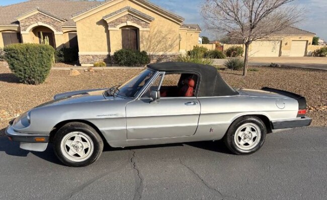 1985 Alfa Romeo Spider