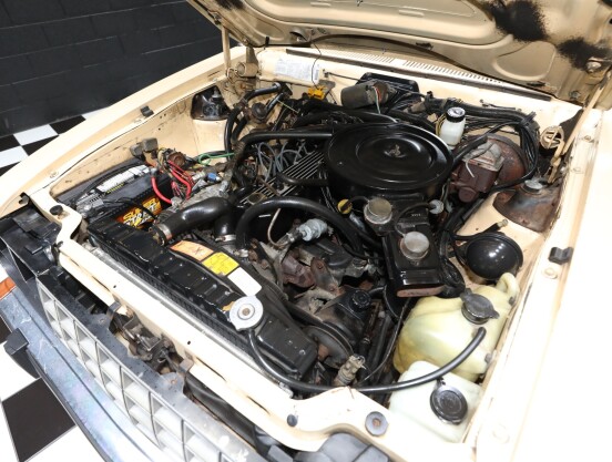 1983 American Motors Eagle