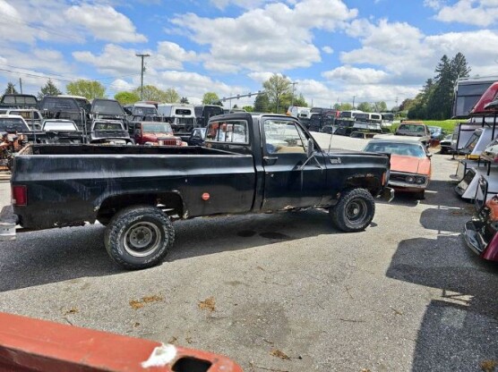 1979 Chevrolet C10 Pickup