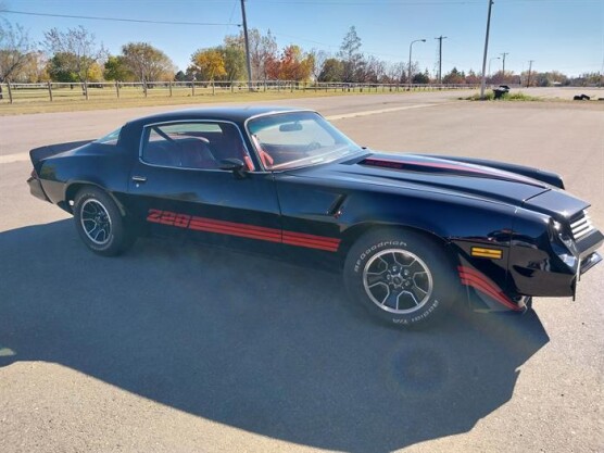 1980 Chevrolet Camaro