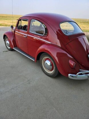 1961 Volkswagen Beetle