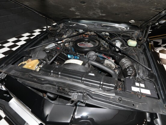 1975 Oldsmobile Other
